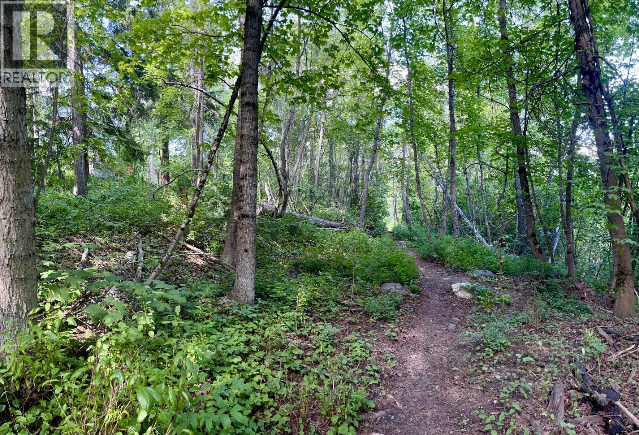 3b Highway Lot# 3 Property Photo 19