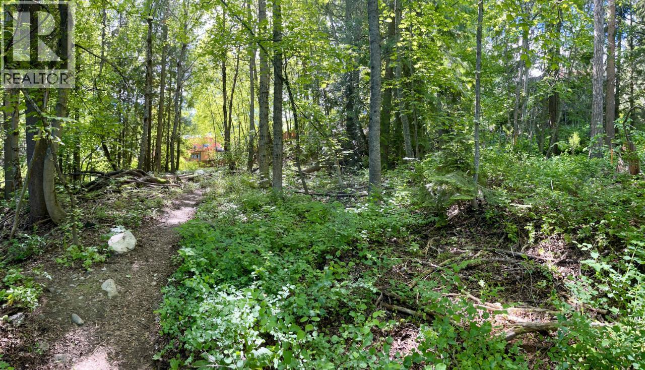 3b Highway Lot# 3 Property Photo 21