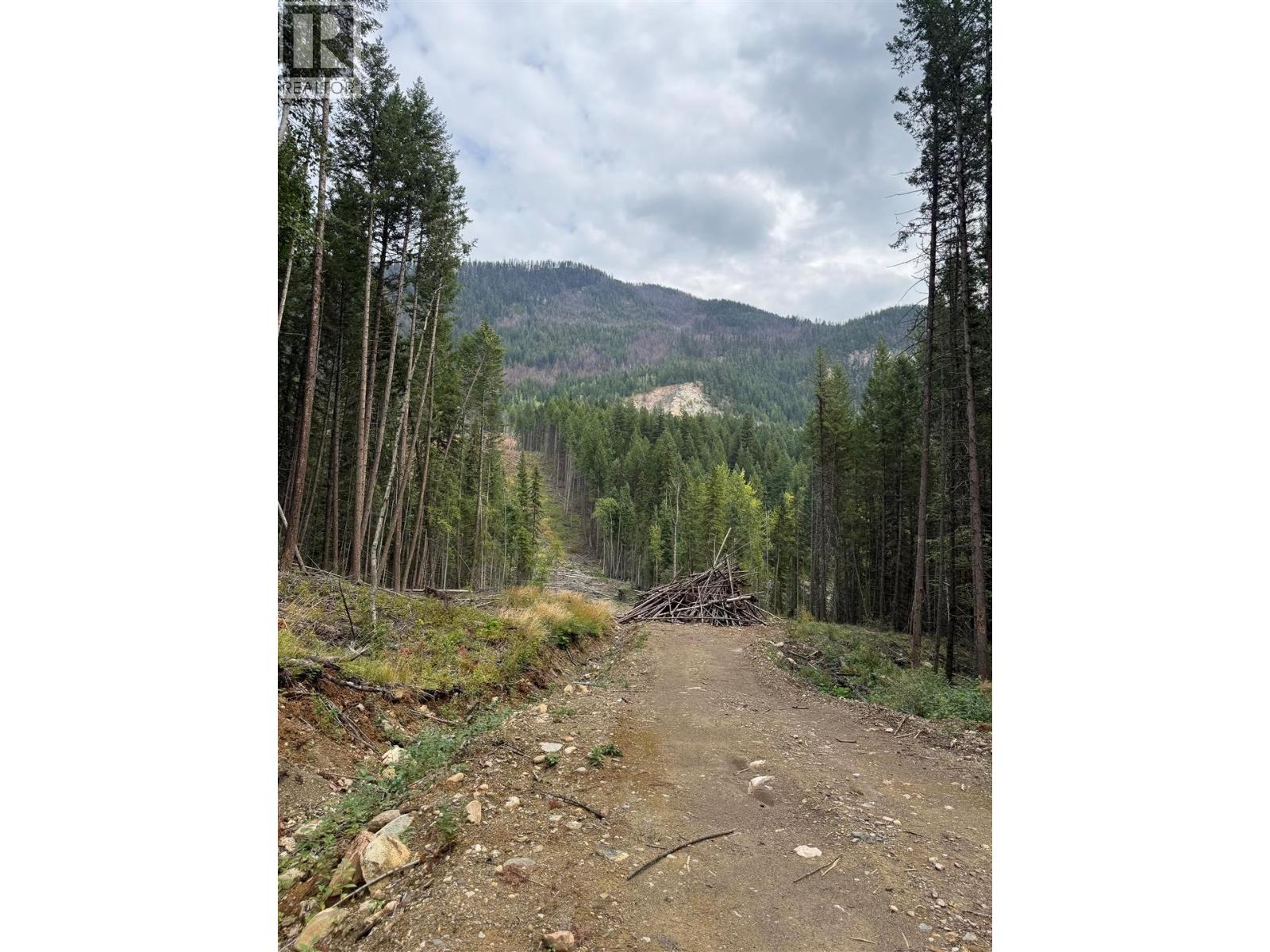 Dl 10766 Giant Mine Road Property Photo 3