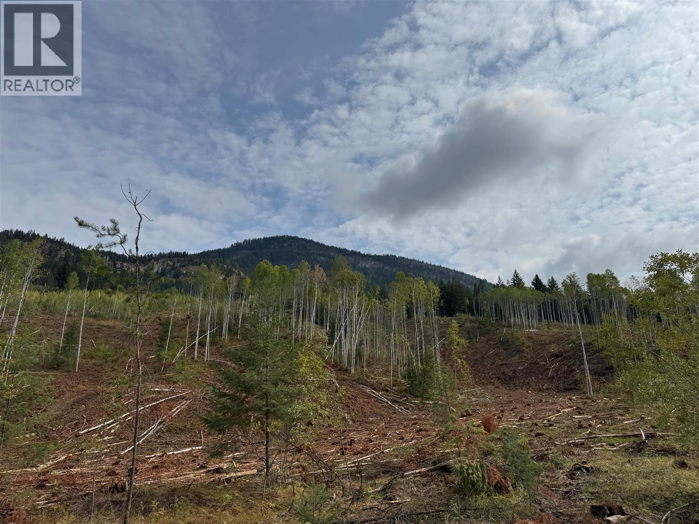 Dl 10766 Giant Mine Road Property Photo 19