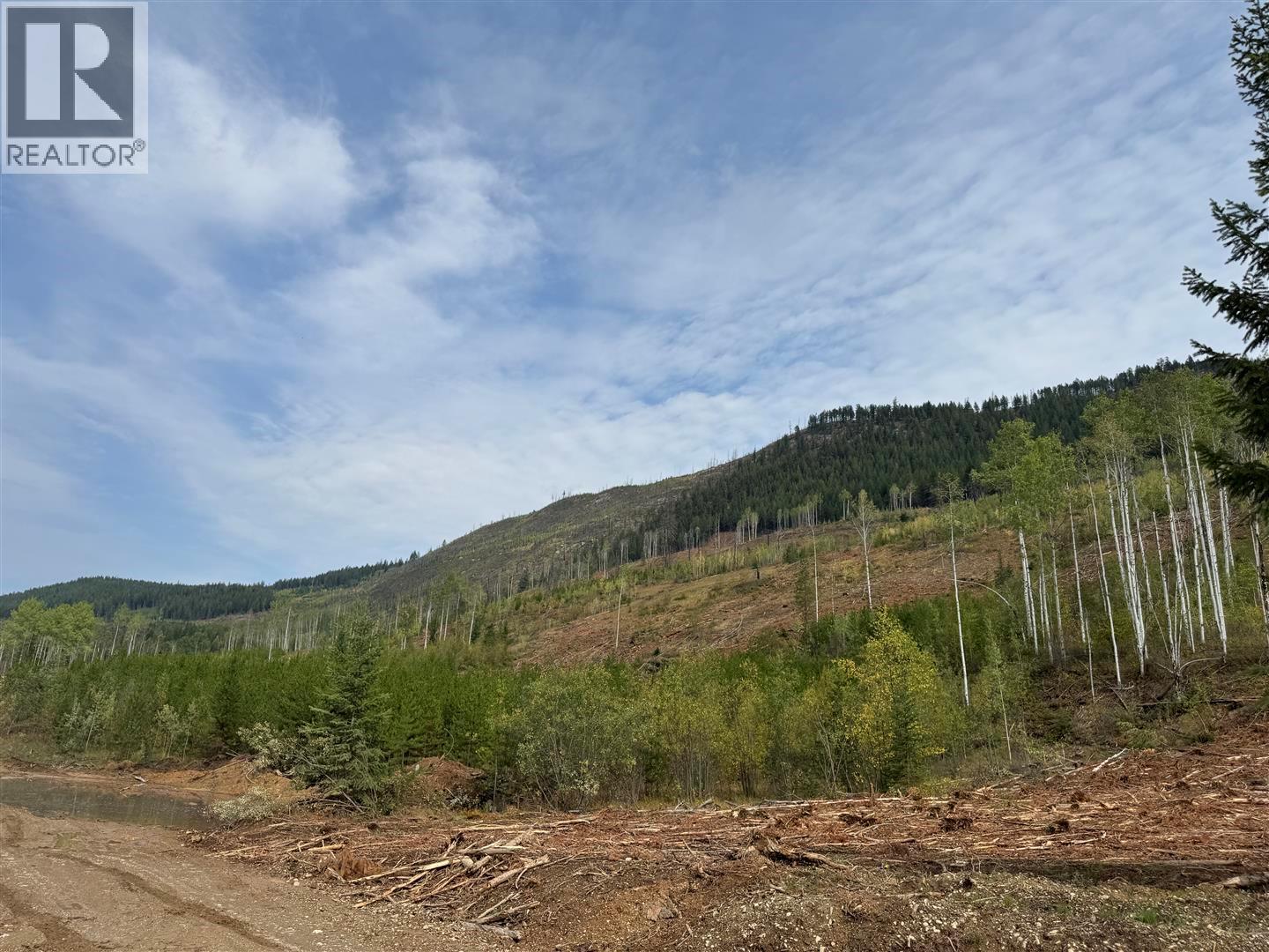 Dl 10766 Giant Mine Road Property Photo 20