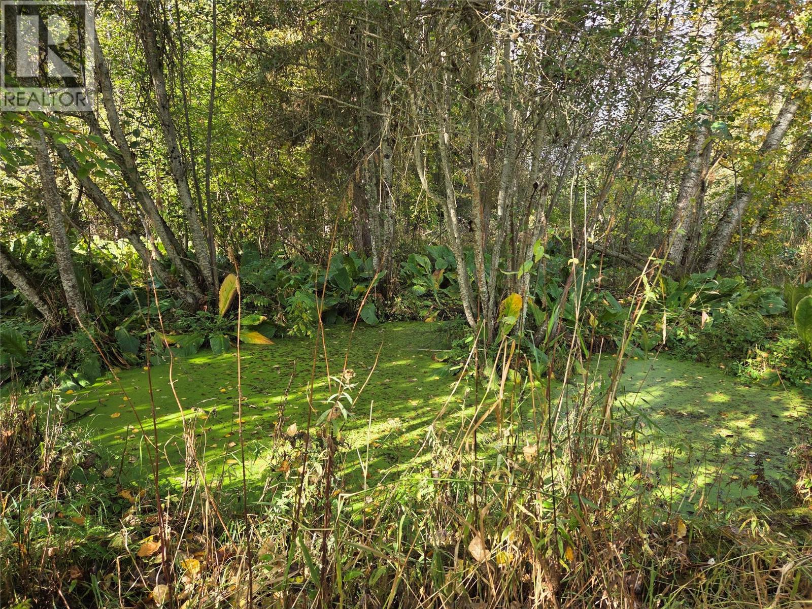 26 Barnes Road Property Photo 23