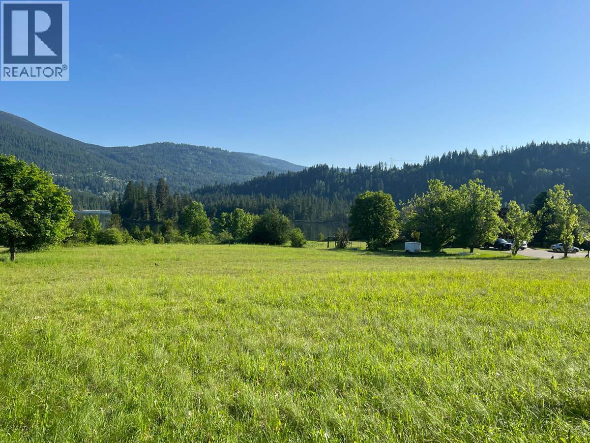 2719 Davidson Road Property Photo 43