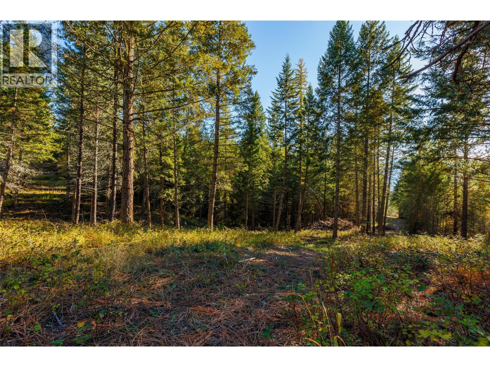 Lot 75 7th Street Property Photo 9