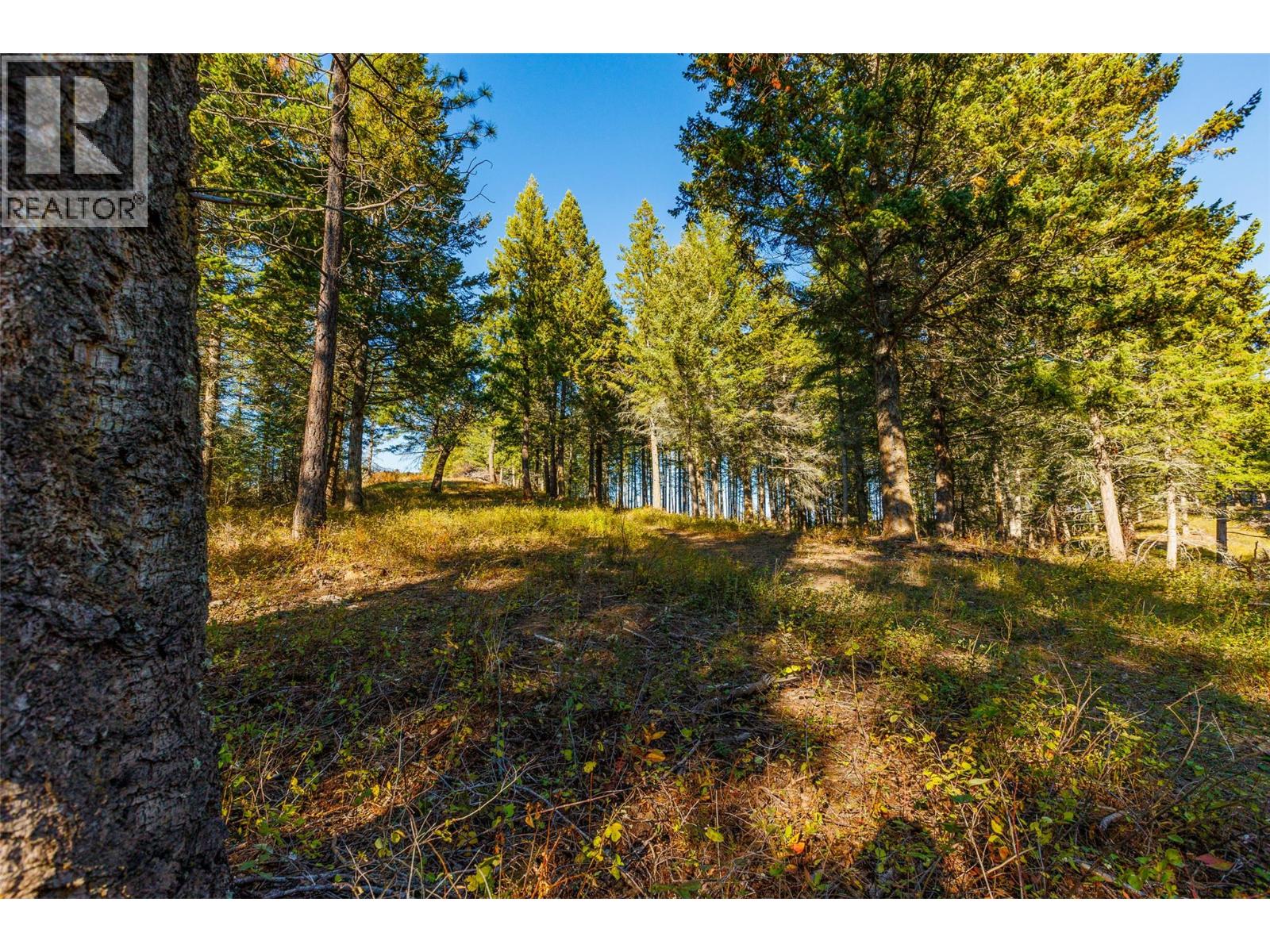 Lot 75 7th Street Property Photo 10