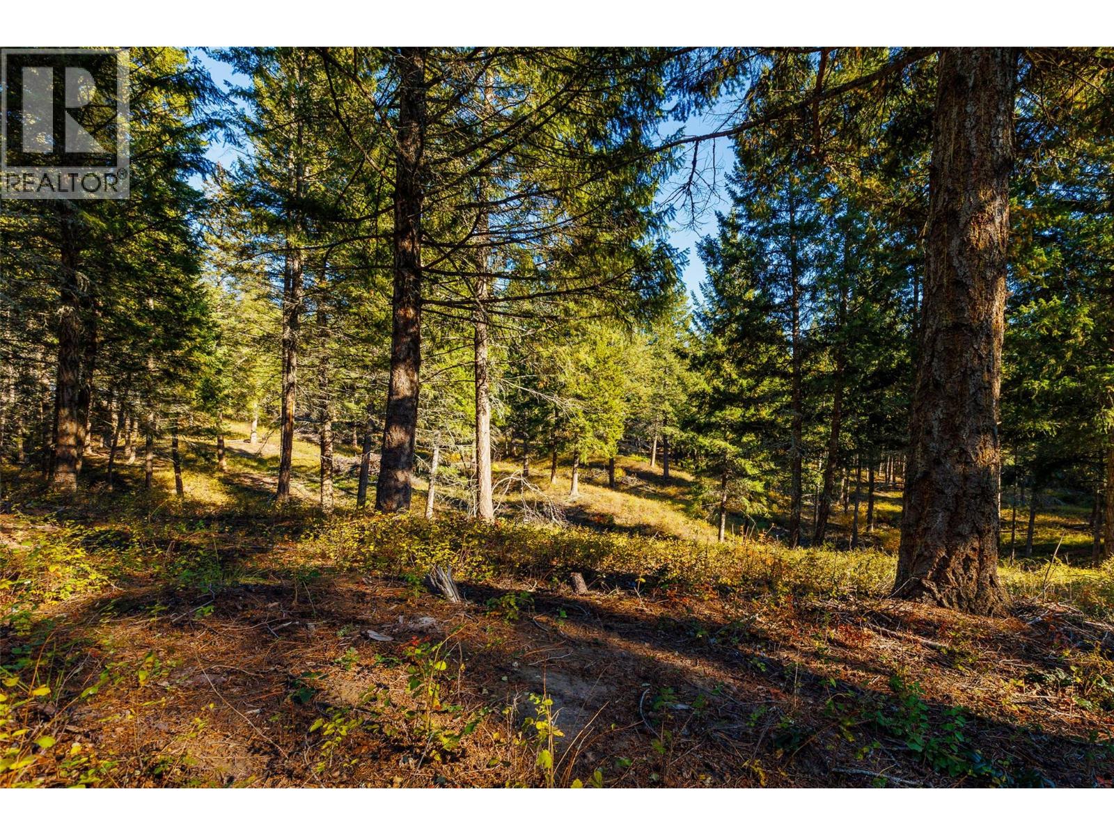 Lot 75 7th Street Property Photo 11