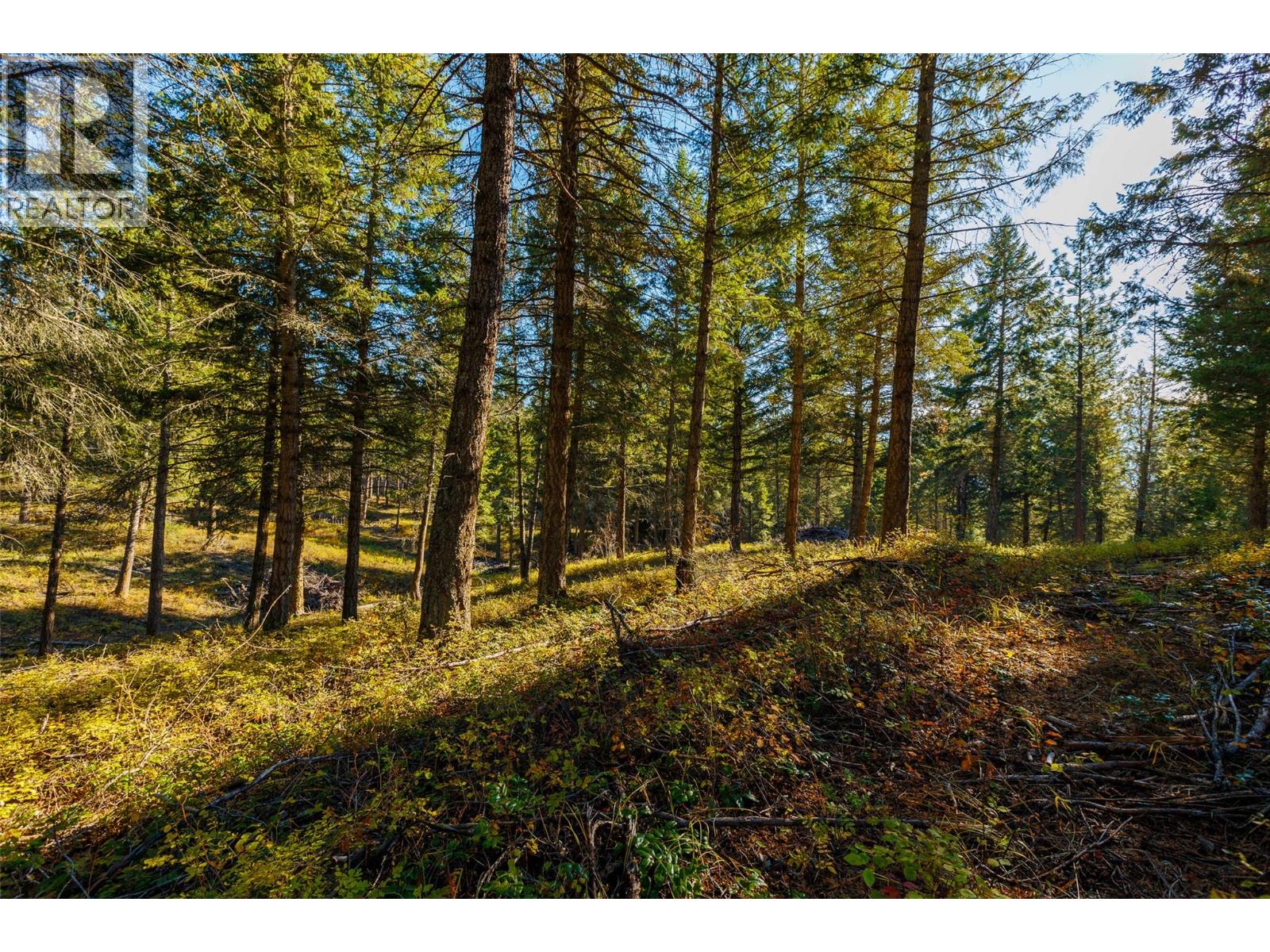 Lot 75 7th Street Property Photo 12