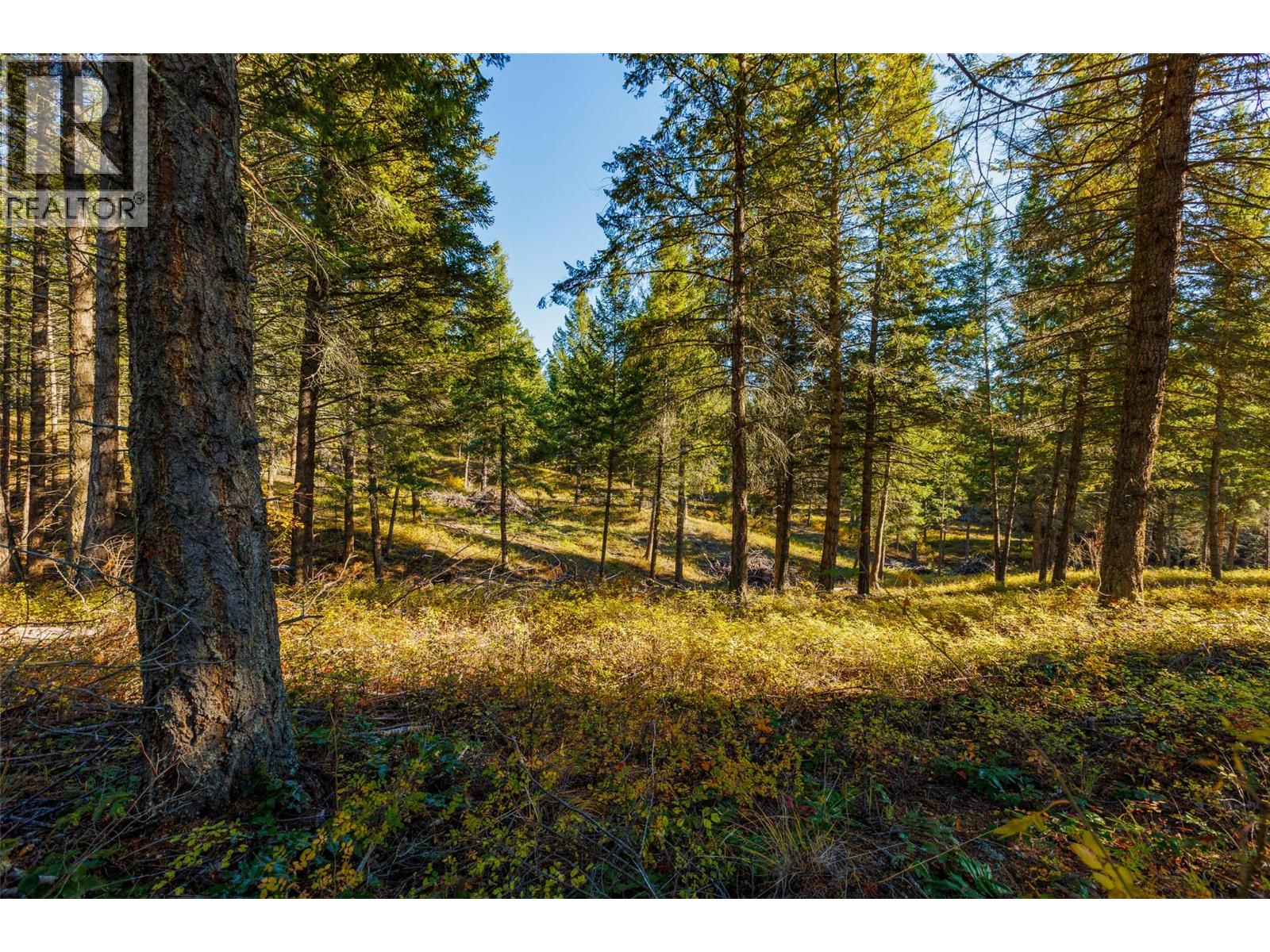 Lot 75 7th Street Property Photo 13
