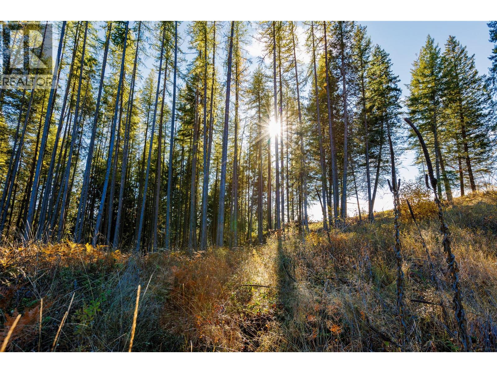 Lot 75 7th Street Property Photo 15