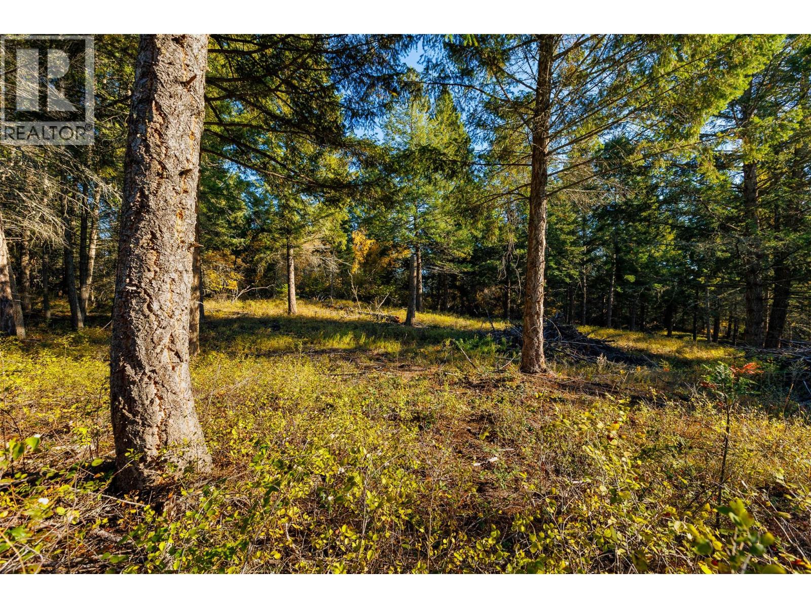 Lot 75 7th Street Property Photo 16