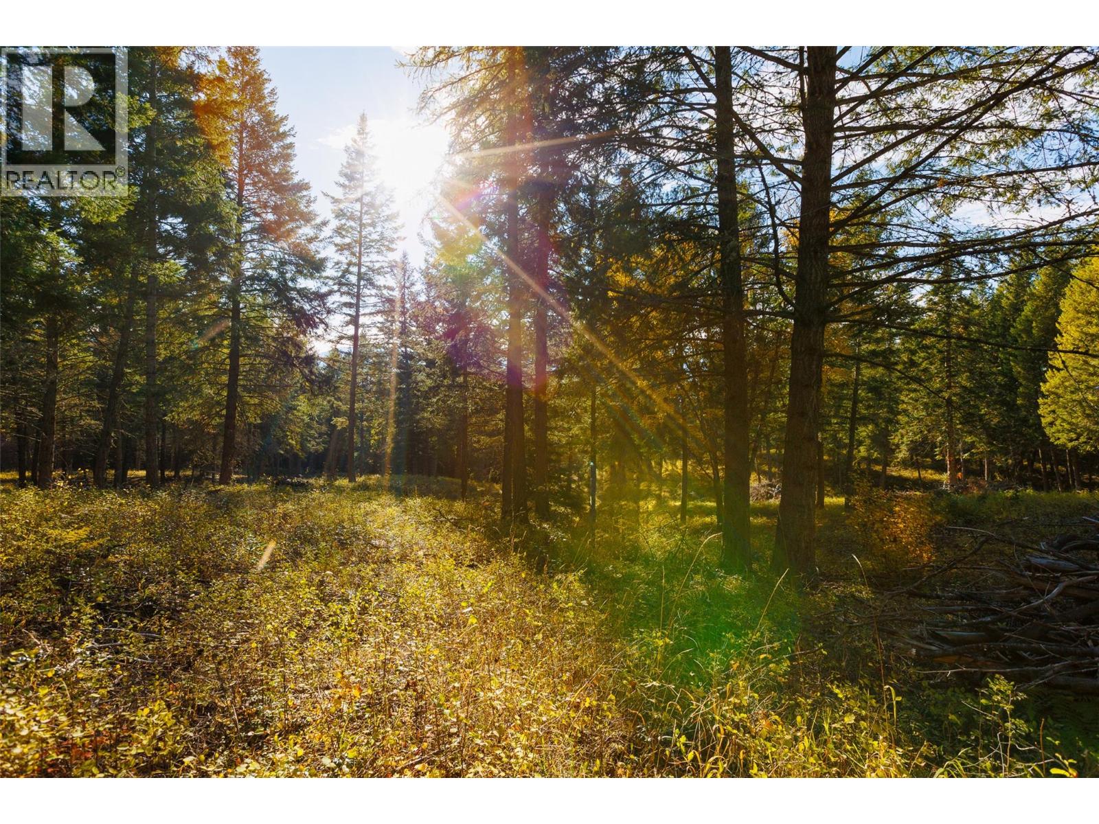 Lot 75 7th Street Property Photo 17