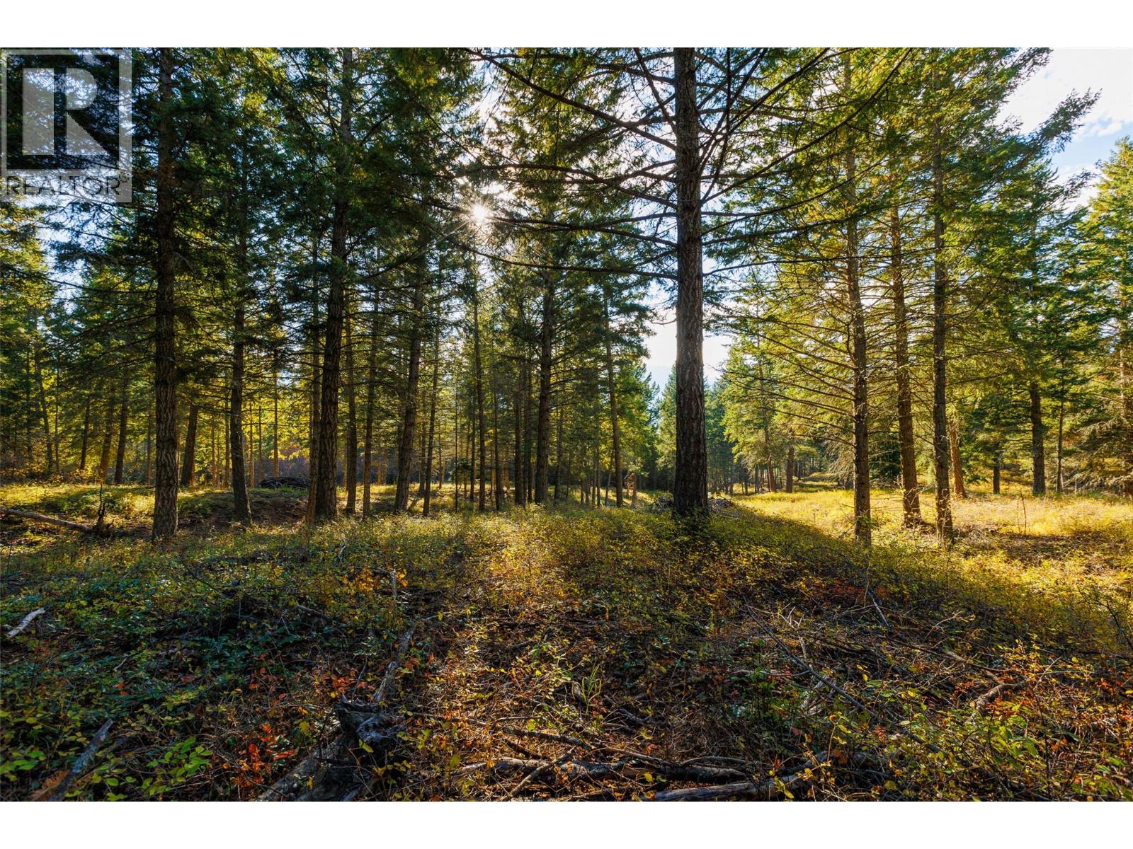 Lot 75 7th Street Property Photo 18