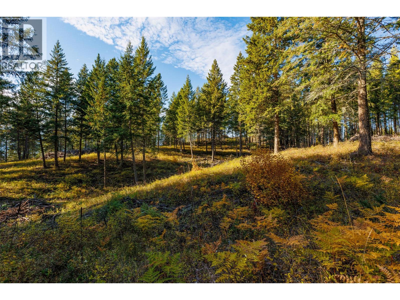 Lot 75 7th Street Property Photo 19