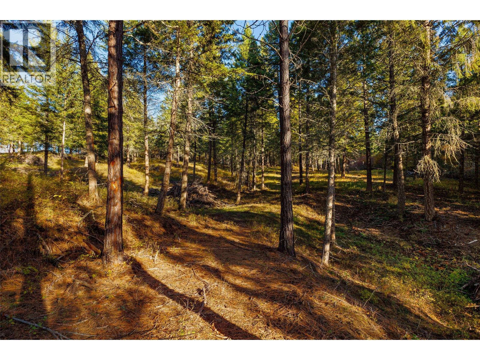 Lot 75 7th Street Property Photo 20