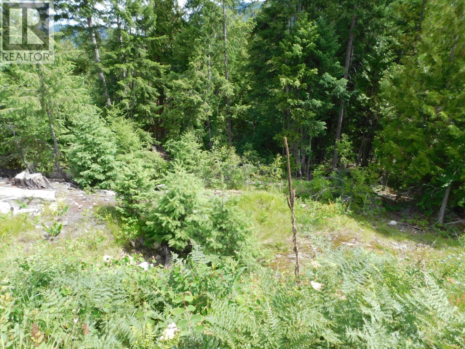 1365 Forest Road Property Photo 3