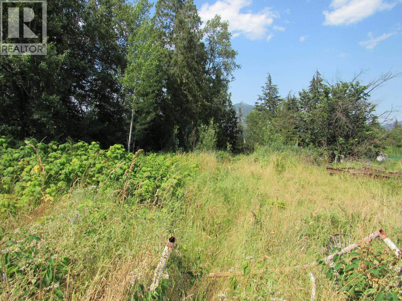 1365 Forest Road Property Photo 4