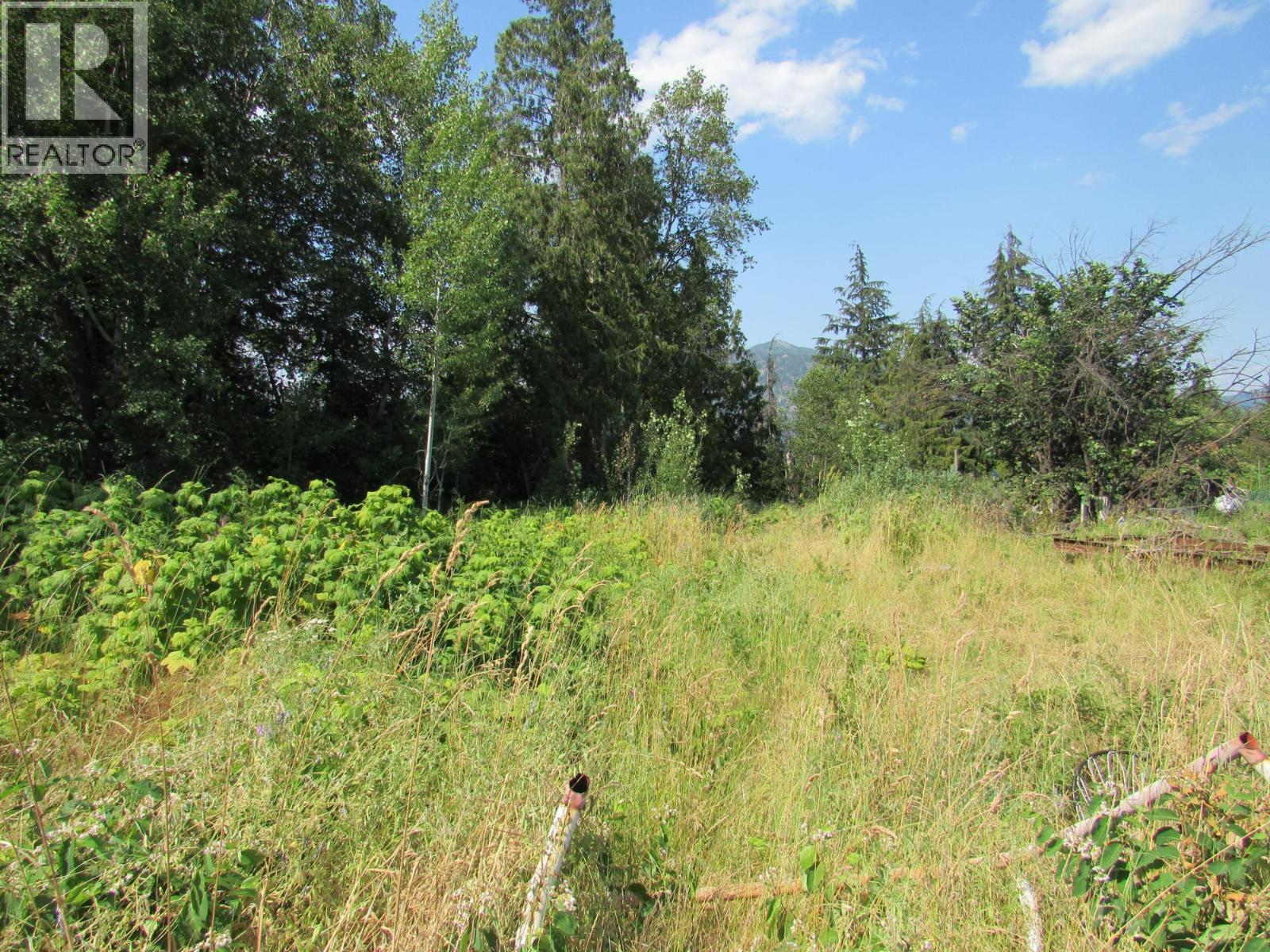 1365 Forest Road Property Photo 5