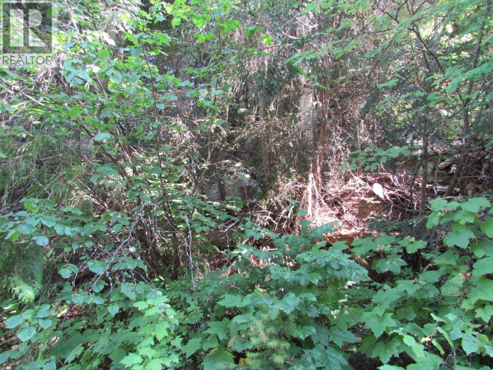 1365 Forest Road Property Photo 6