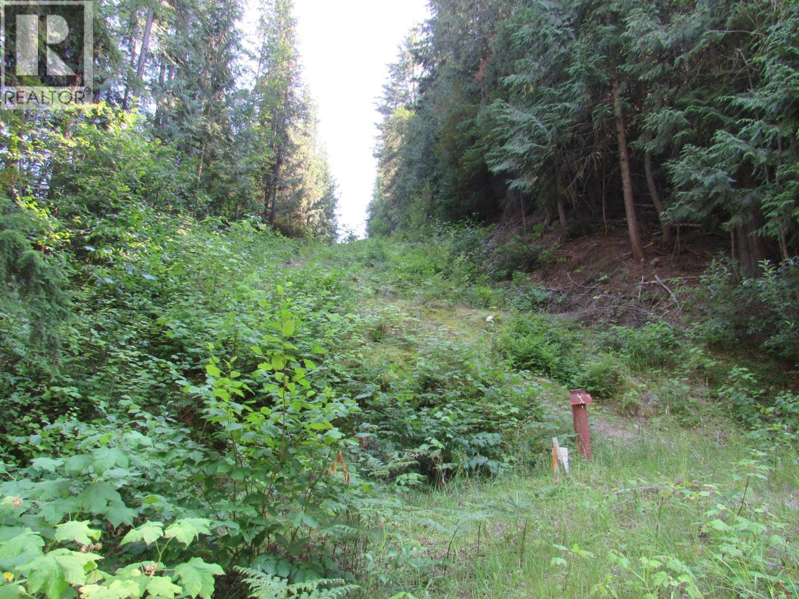 1365 Forest Road Property Photo 8