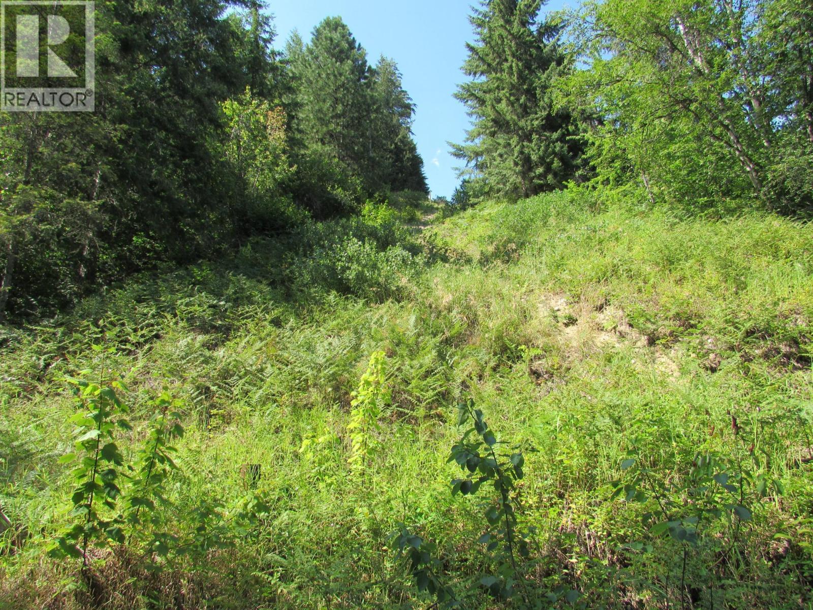 1365 Forest Road Property Photo 10