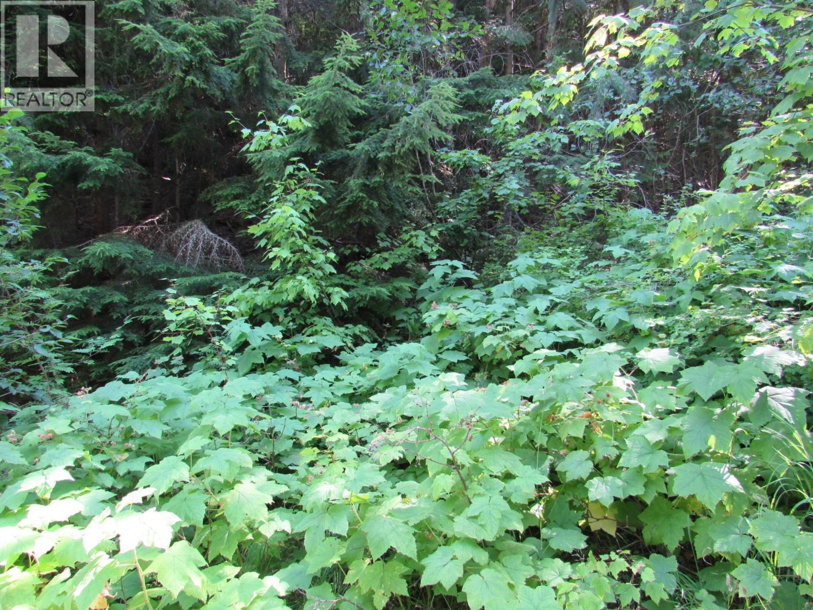 1365 Forest Road Property Photo 11