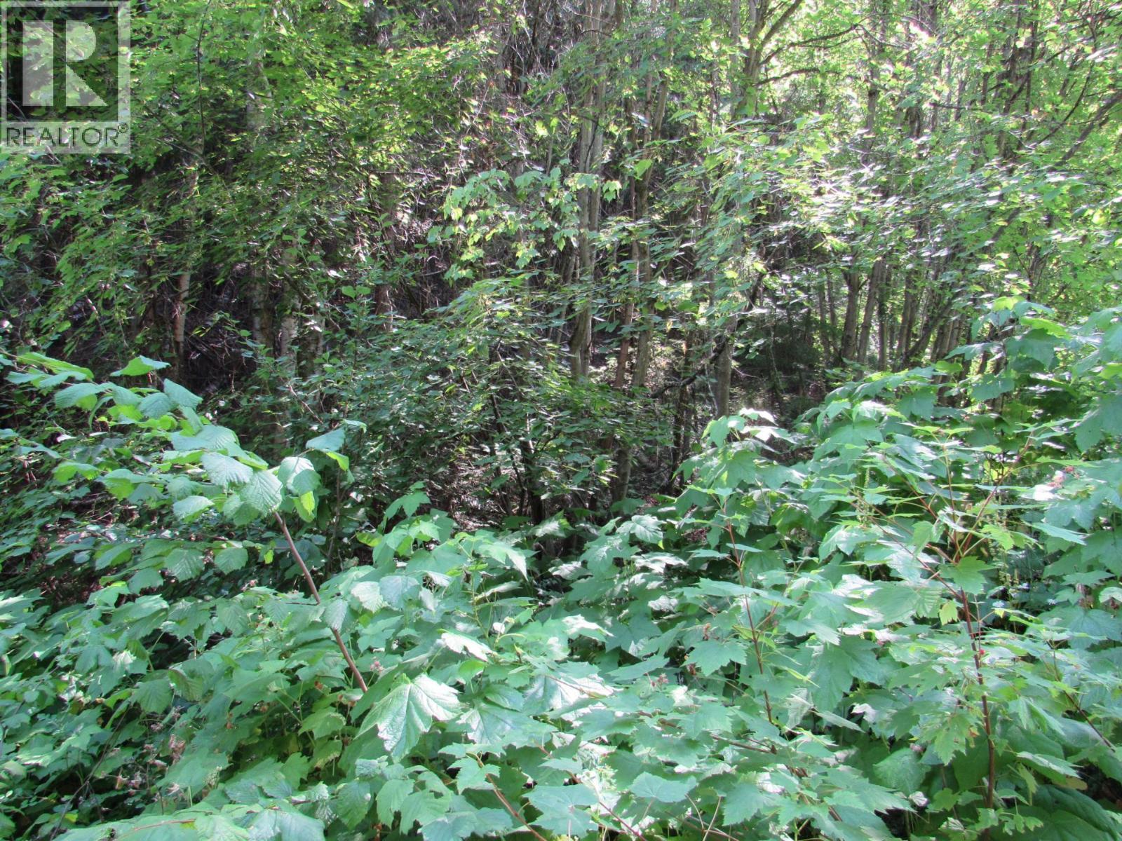 1365 Forest Road Property Photo 12