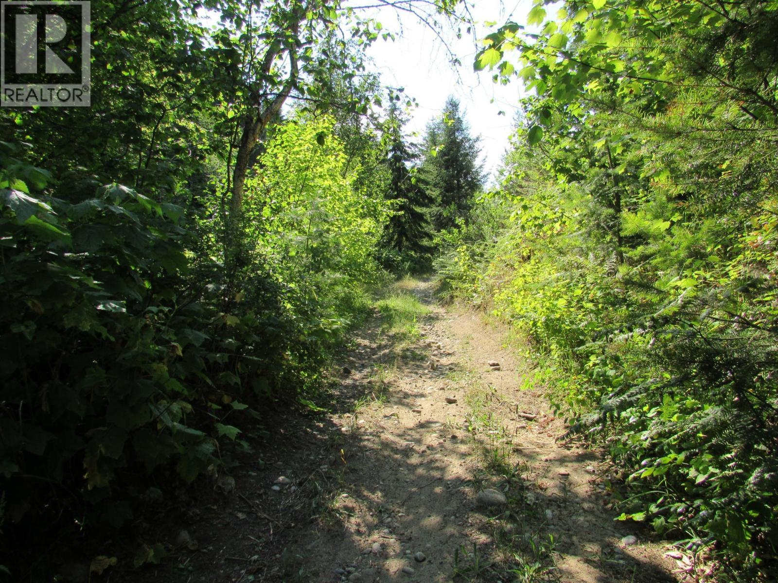 1365 Forest Road Property Photo 13