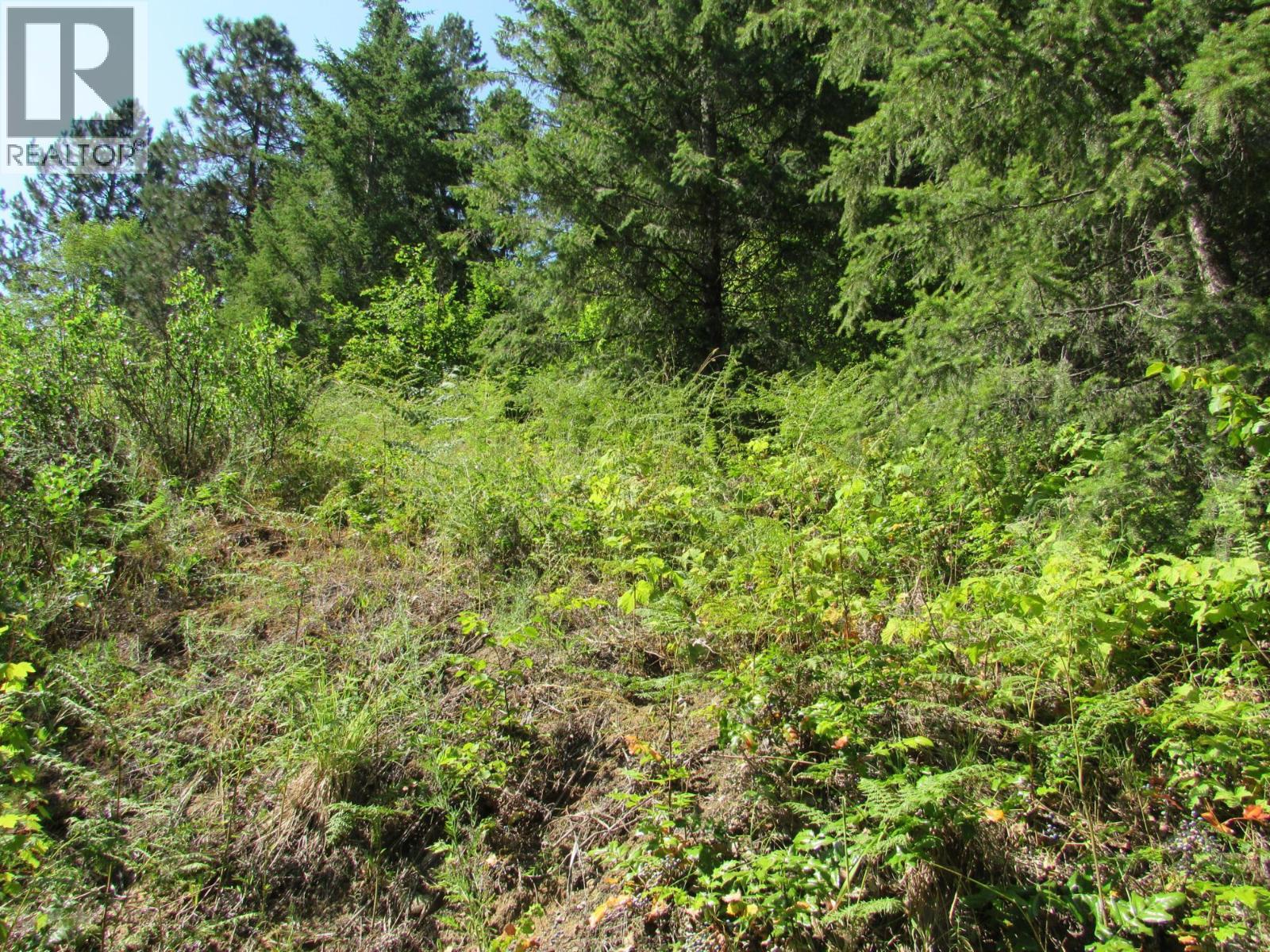 1365 Forest Road Property Photo 14