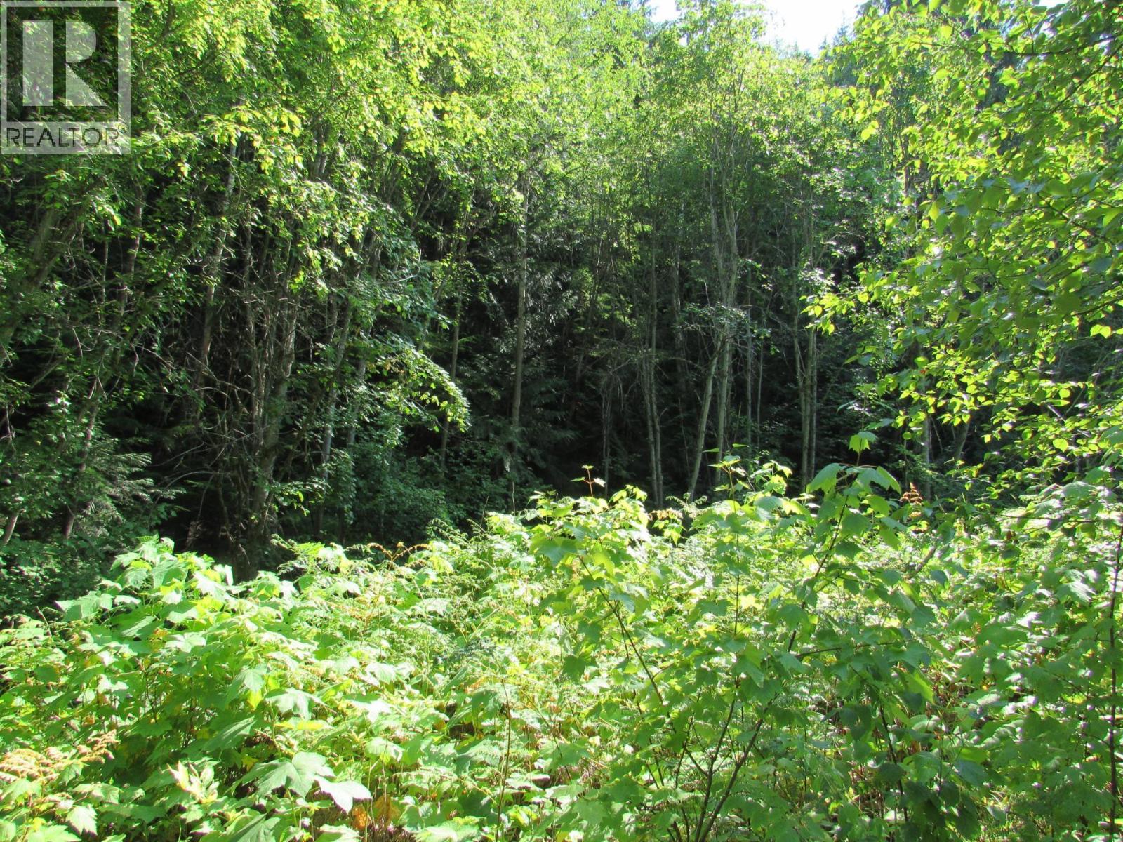 1365 Forest Road Property Photo 17