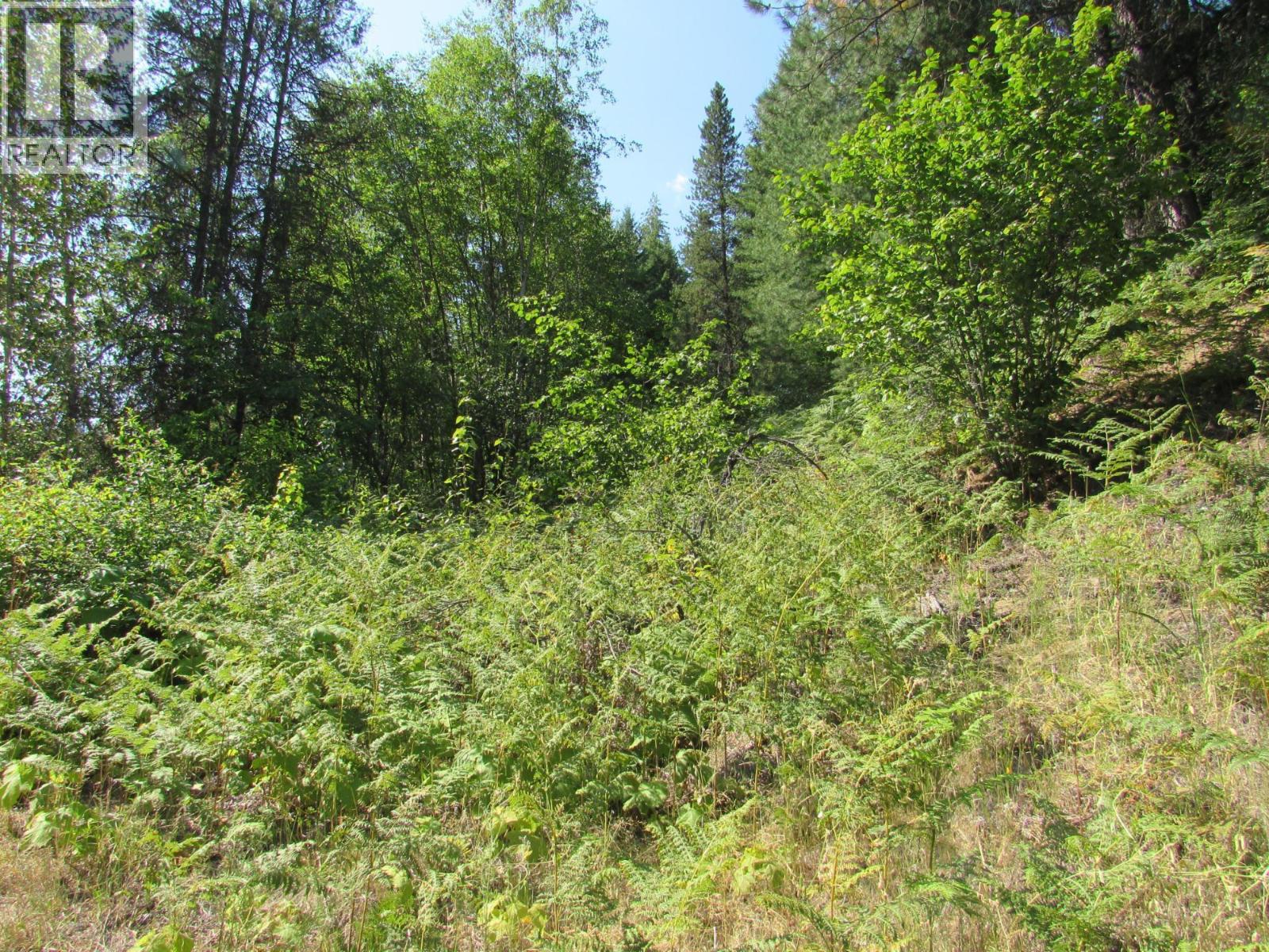 1365 Forest Road Property Photo 19