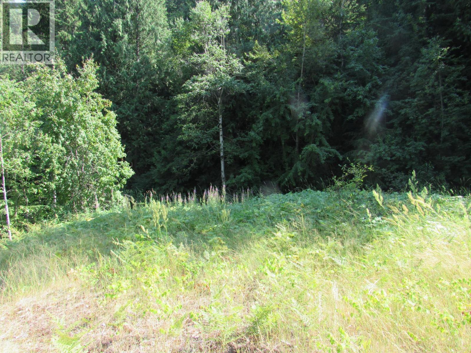 1365 Forest Road Property Photo 20