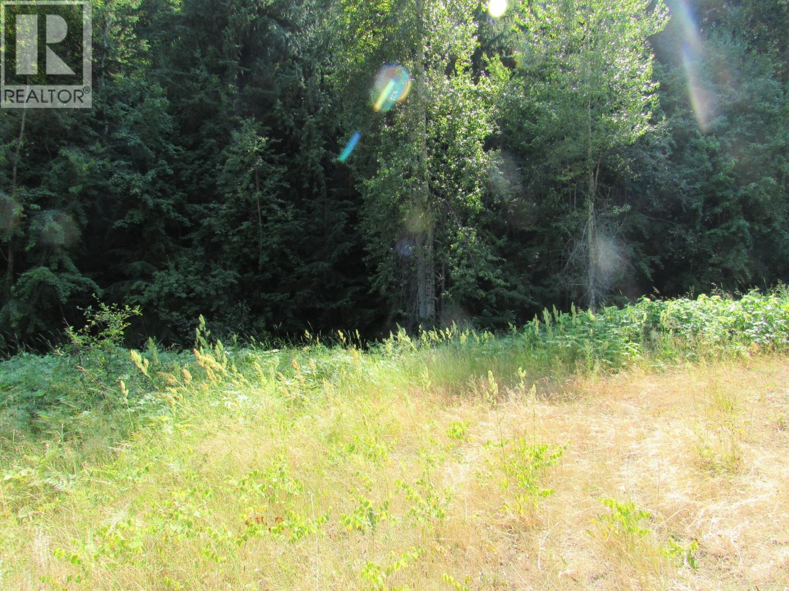 1365 Forest Road Property Photo 21