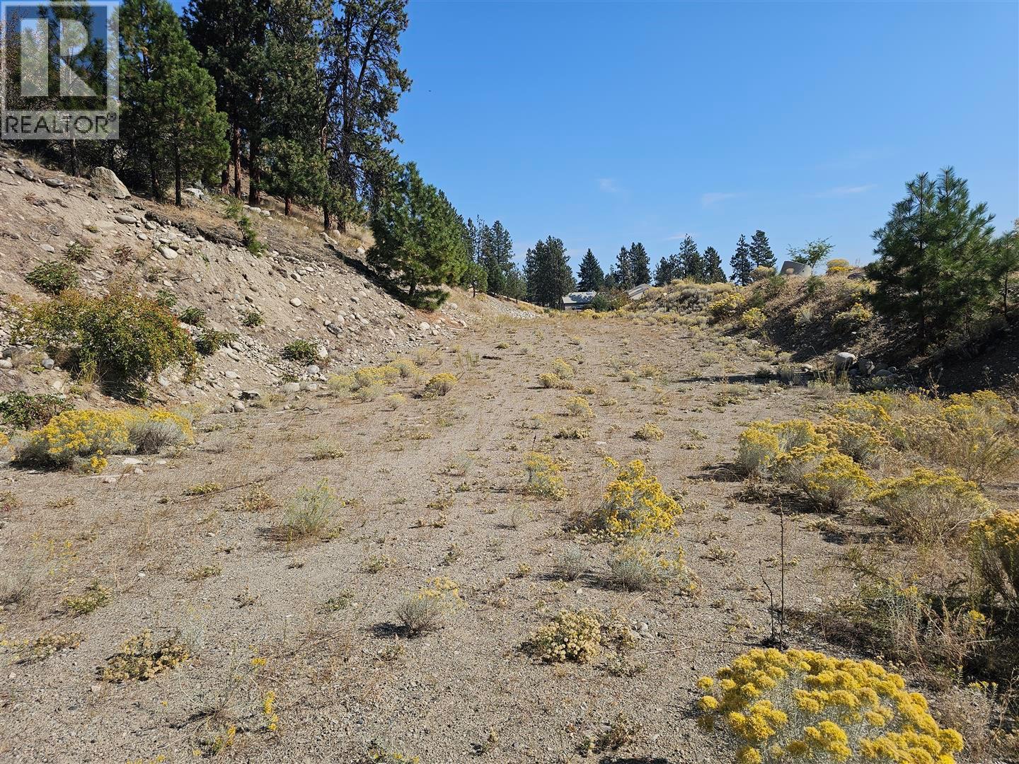 Lot 1 Ponderosa Drive Property Photo 19