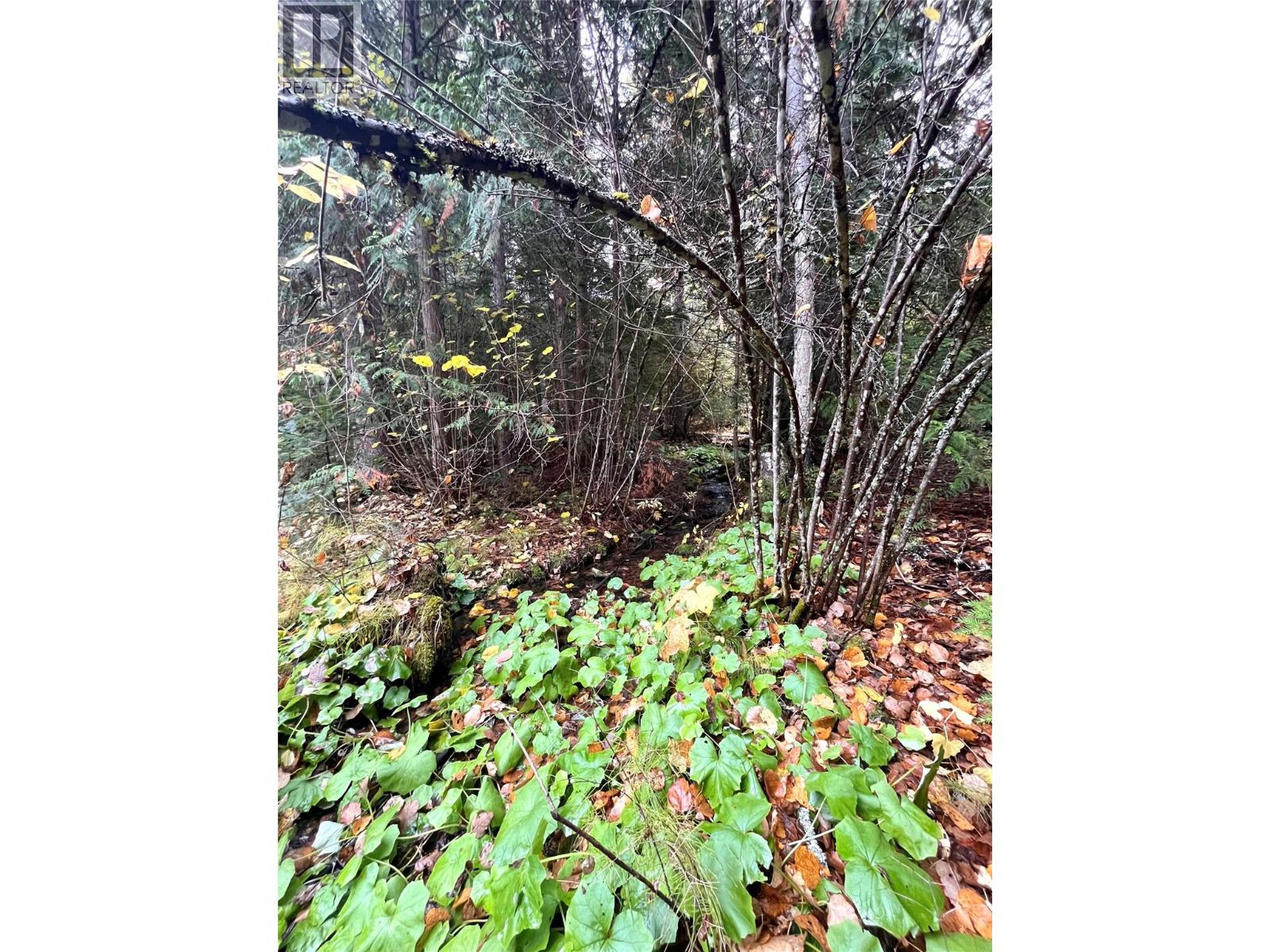 7476 Highway 6 Other Property Photo 39