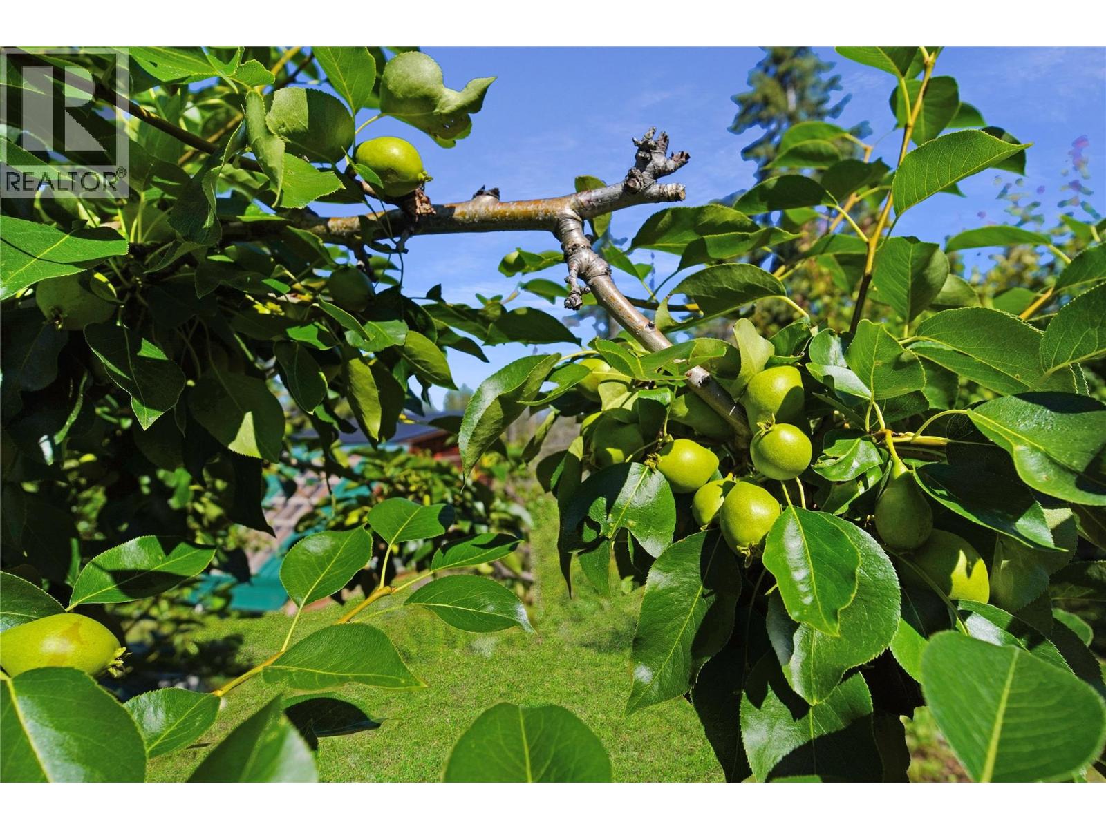 2600 Wycliffe Park Road Property Photo 62