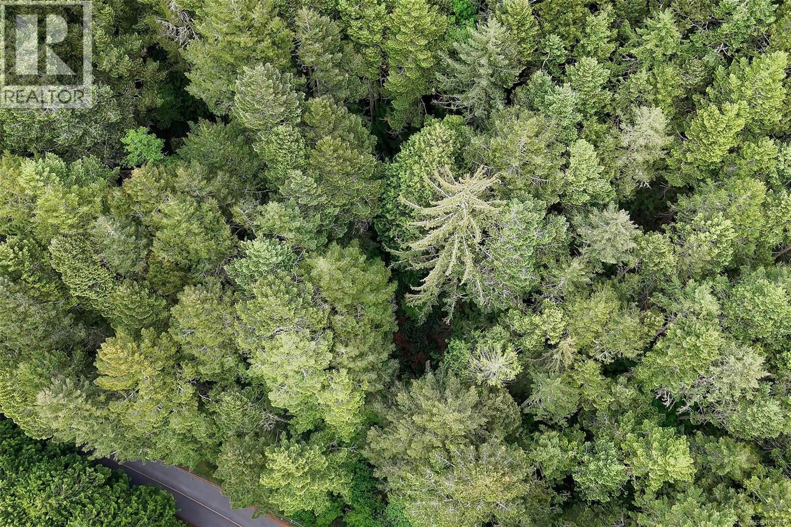 Lot 2 East Sooke Rd Property Photo 5