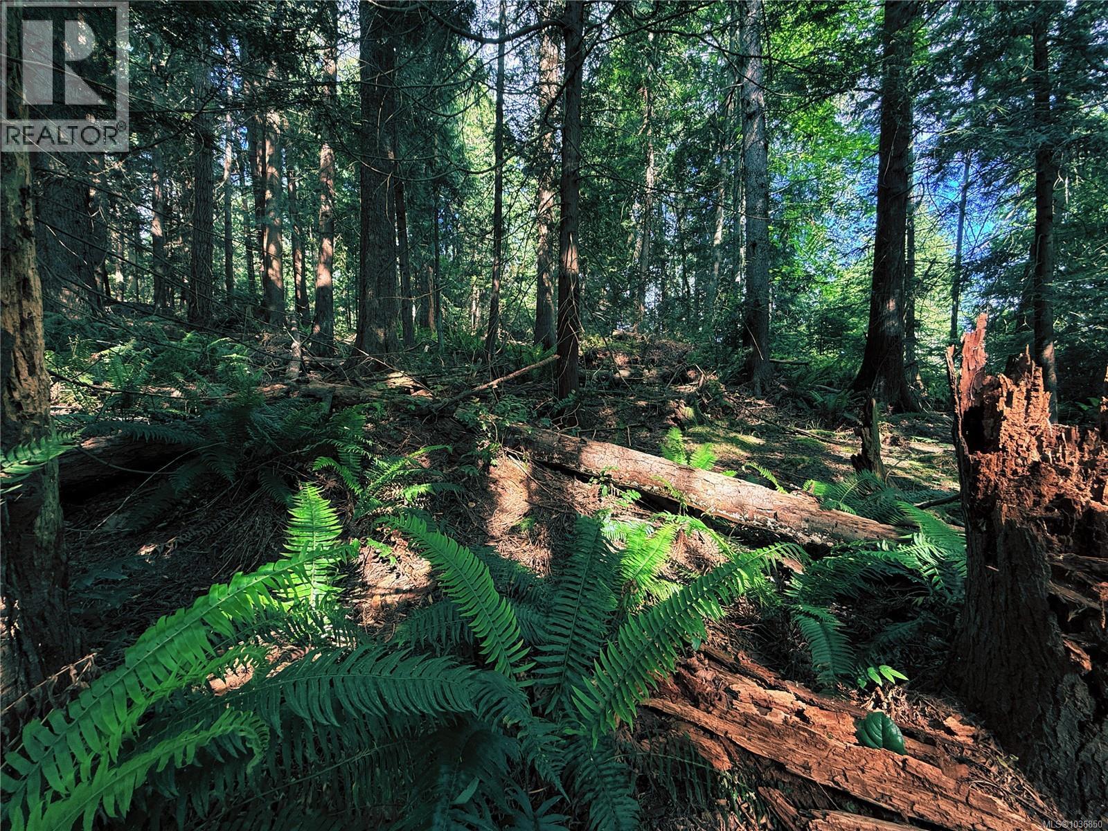 Lot 6 Spruce Ave Photo de la propriété 1