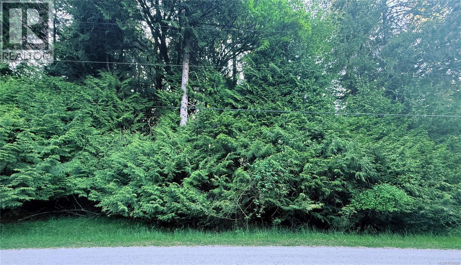Lot 6 Spruce Ave Property Photo 4
