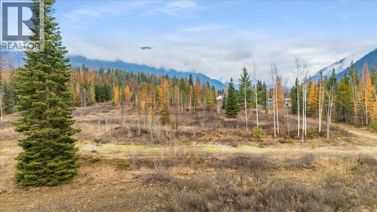 Lot B Henderson Avenue Property Photo 8