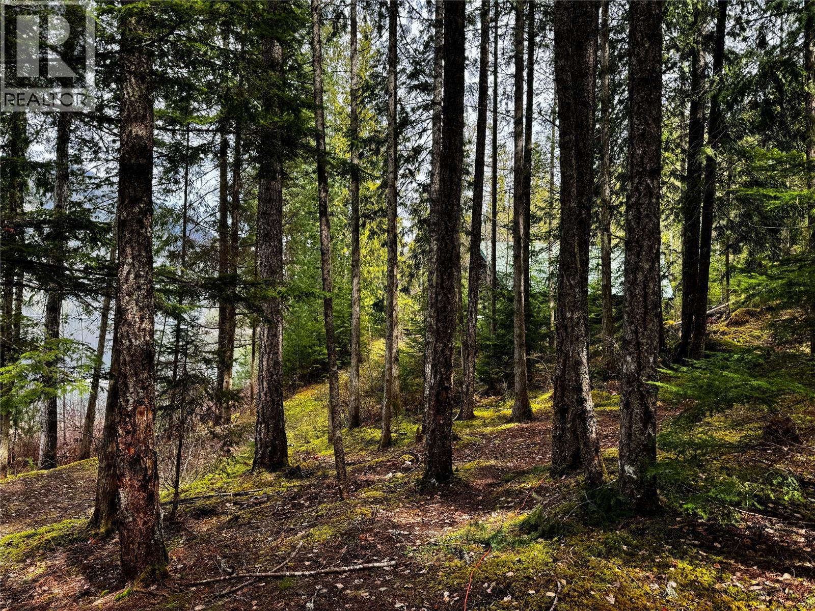 Lot 9 Pete Martin Bay Property Photo 39