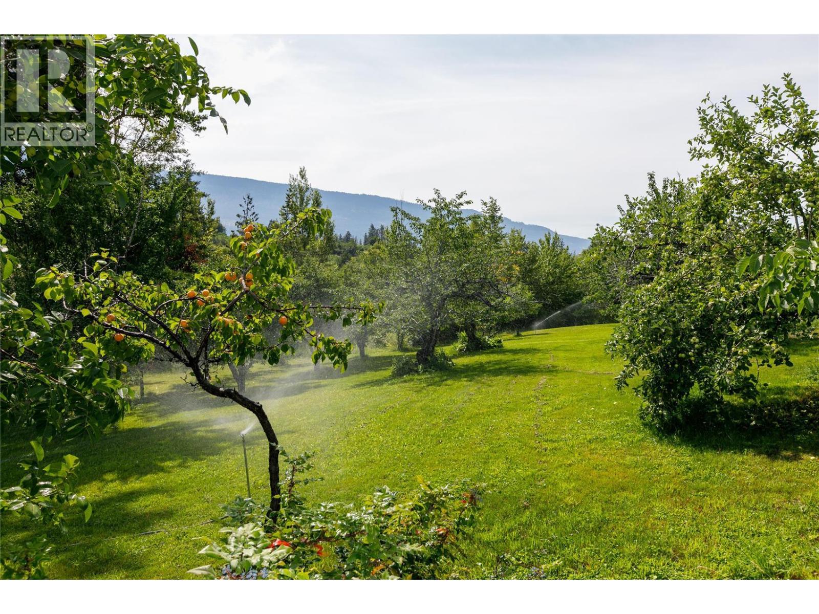 16821 Owl's Nest Road Property Photo 47