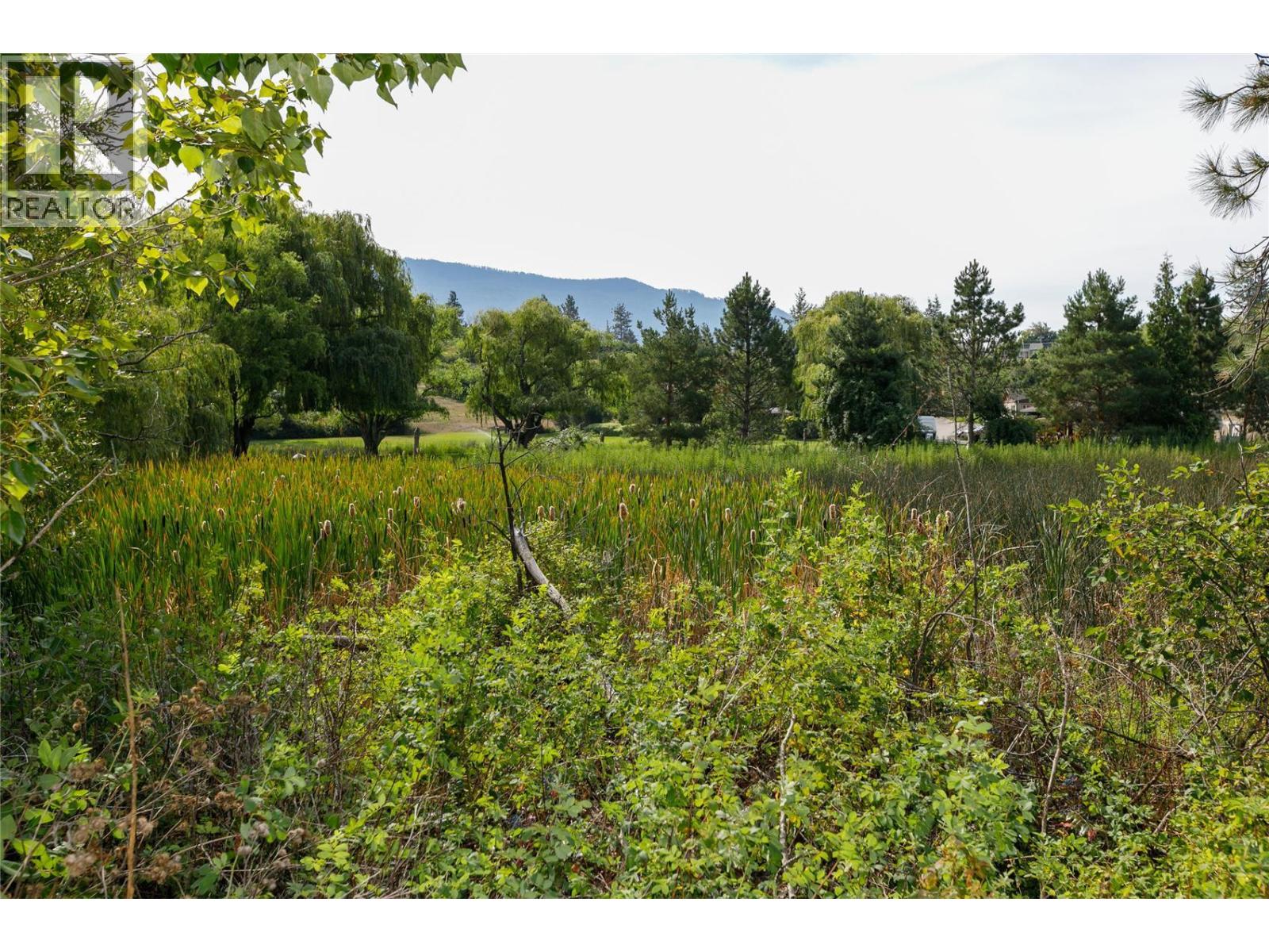 16821 Owl's Nest Road Property Photo 65