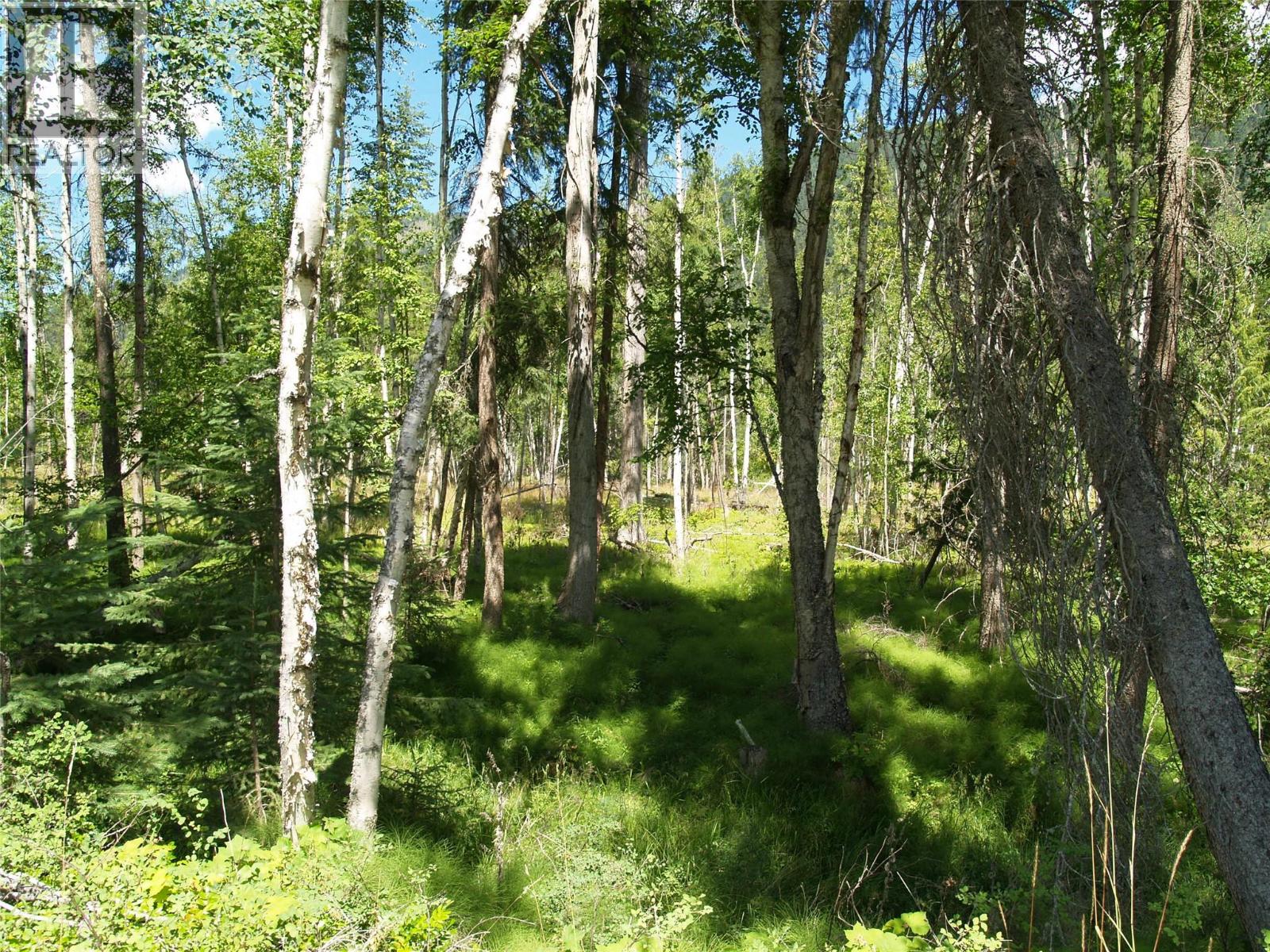 River Stone Road Lot# Lot D Property Photo 18