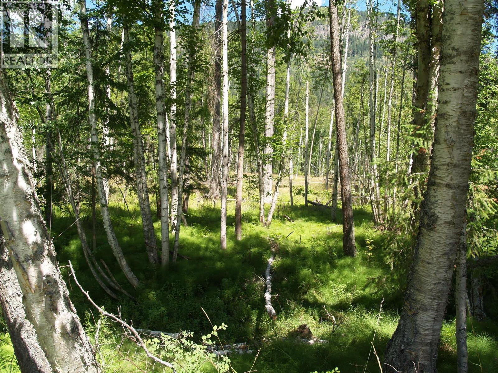 River Stone Road Lot# Lot D Property Photo 21
