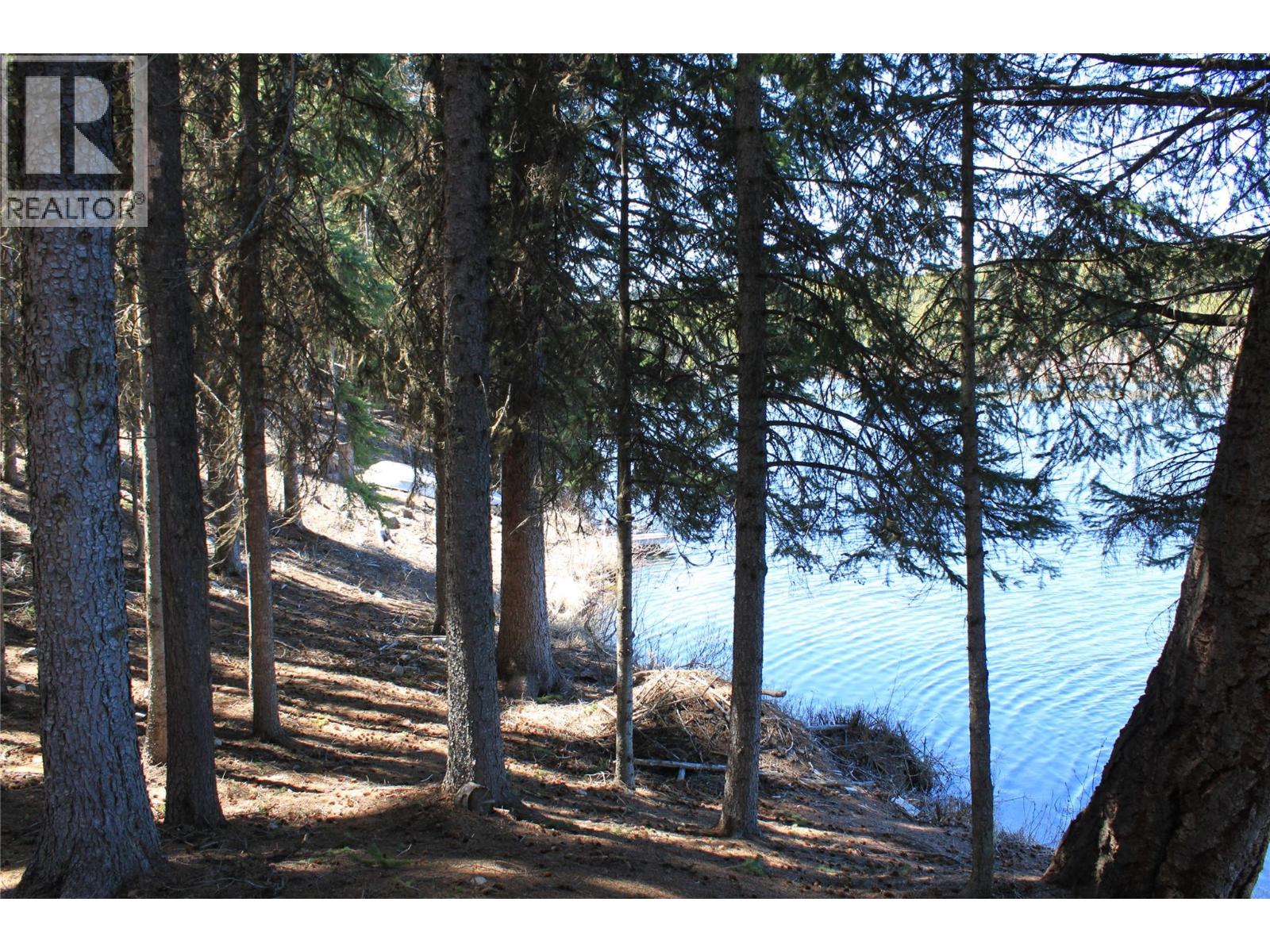 272 Link Lake Road Property Photo 5