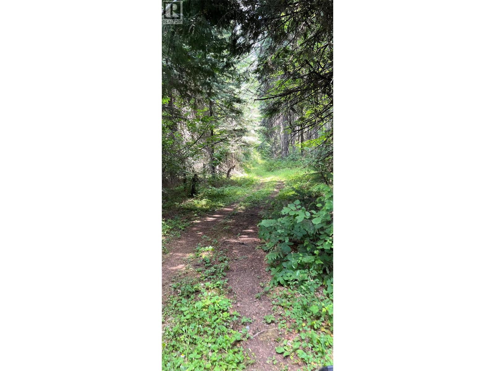 3371 Highway 3b Property Photo 86