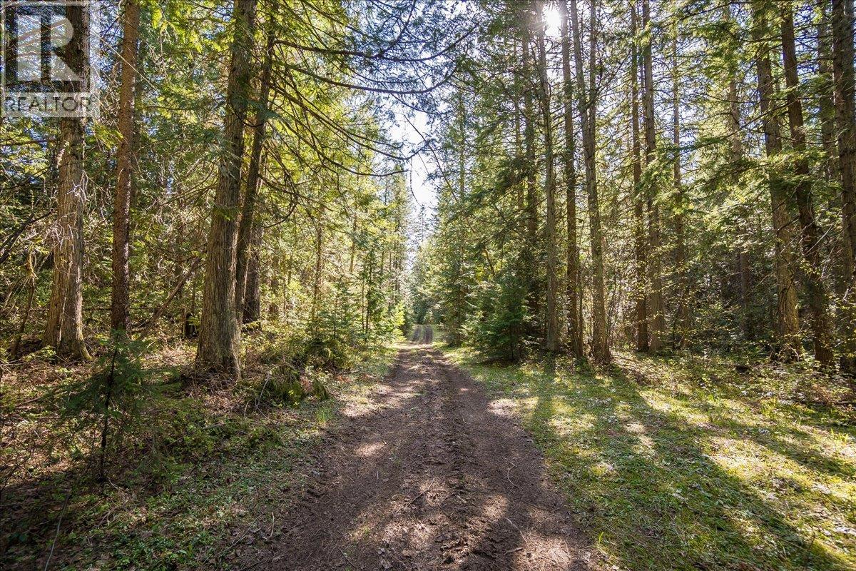 3371 Highway 3b Property Photo 87