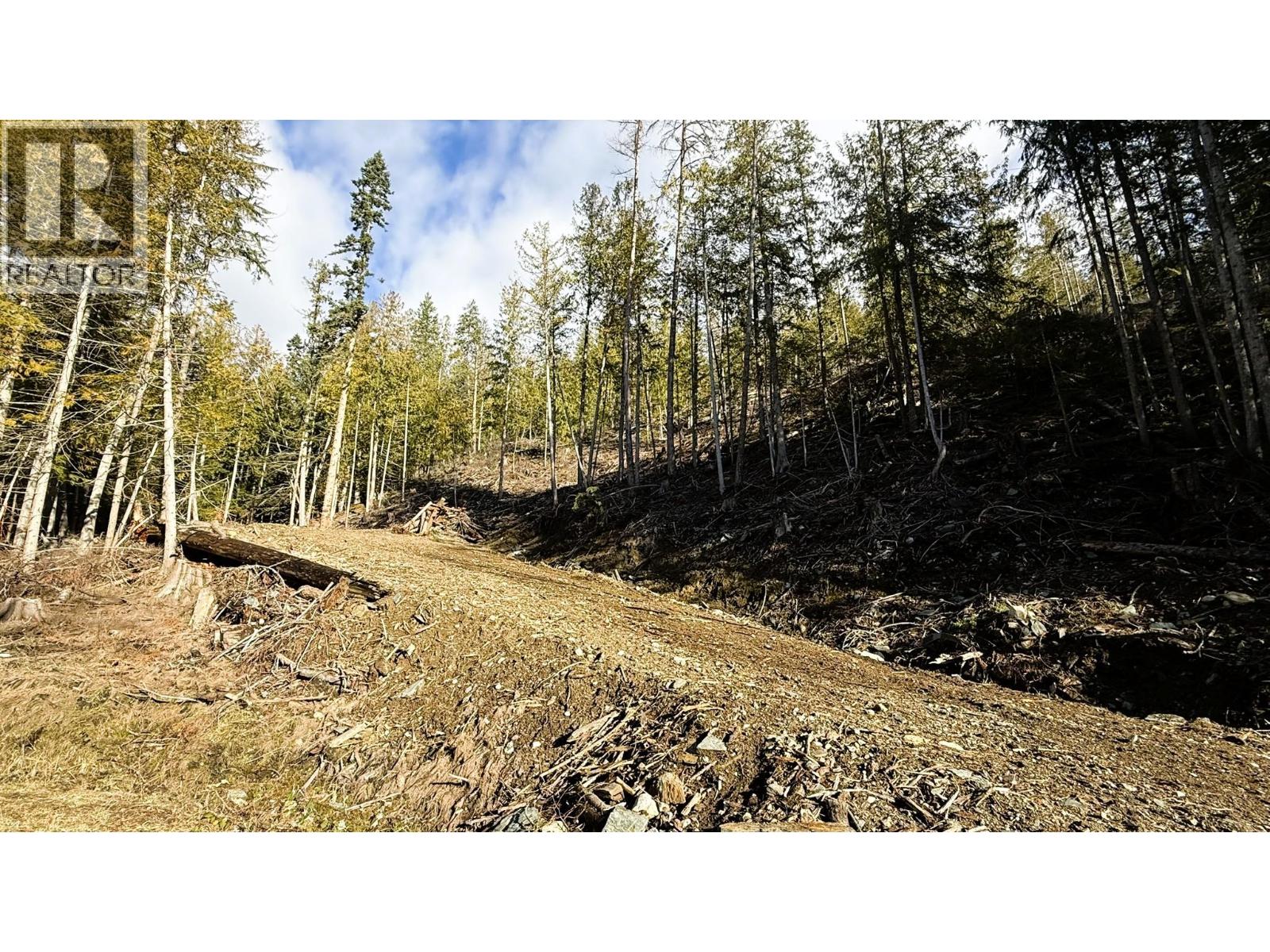 12608 Highway 3a Highway Lot# Parcel C Property Photo 42