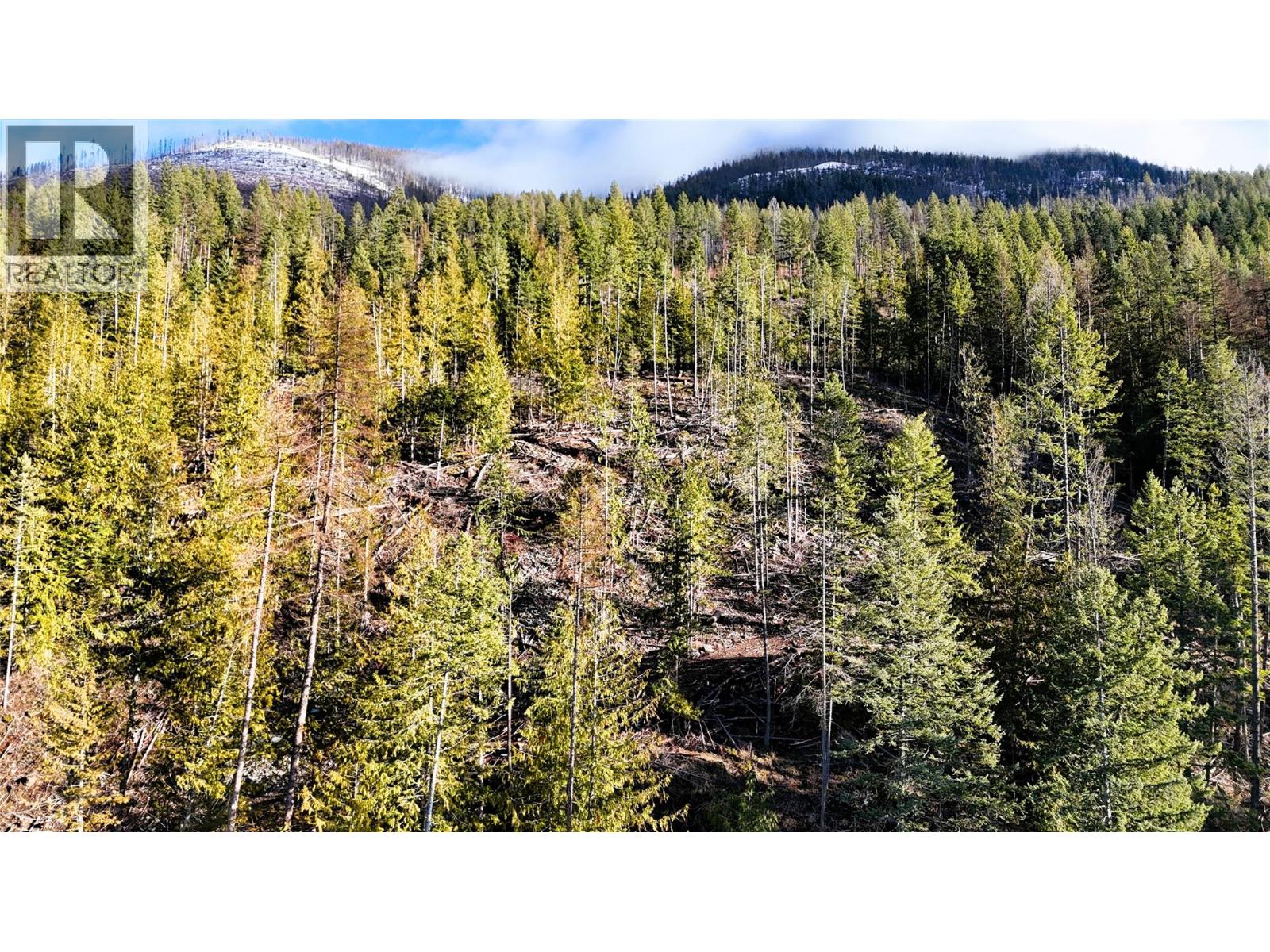 12608 Highway 3a Highway Lot# Parcel C Property Photo 43