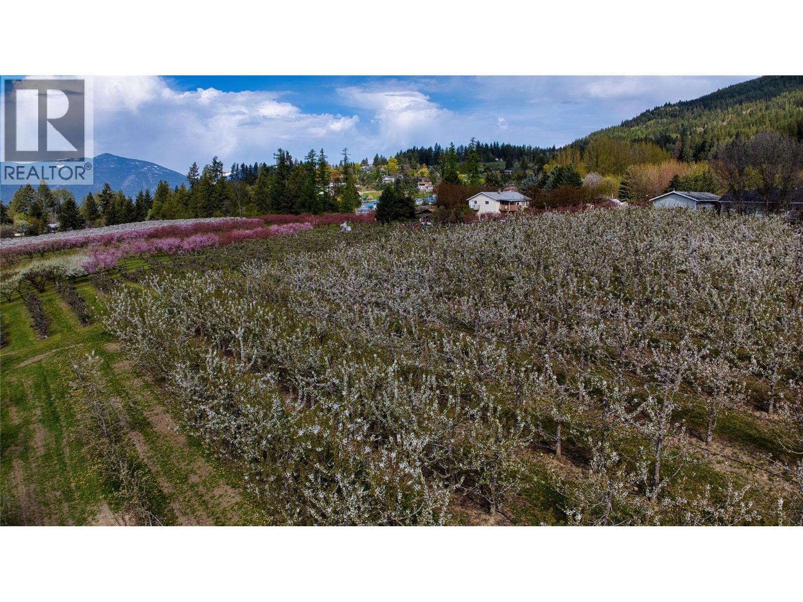 2813 3 Highway Property Photo 40